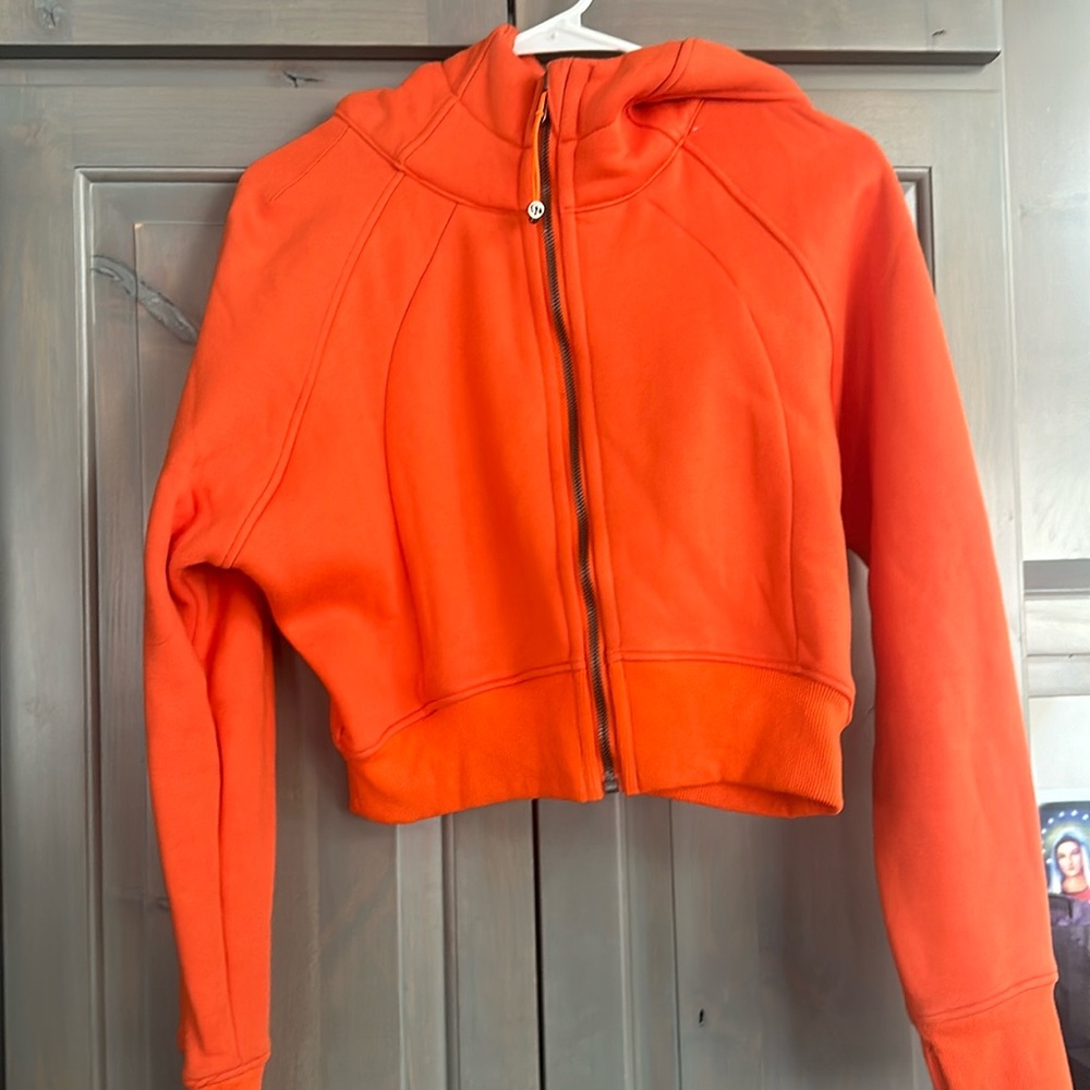 Scuba full zip cropped hoodie